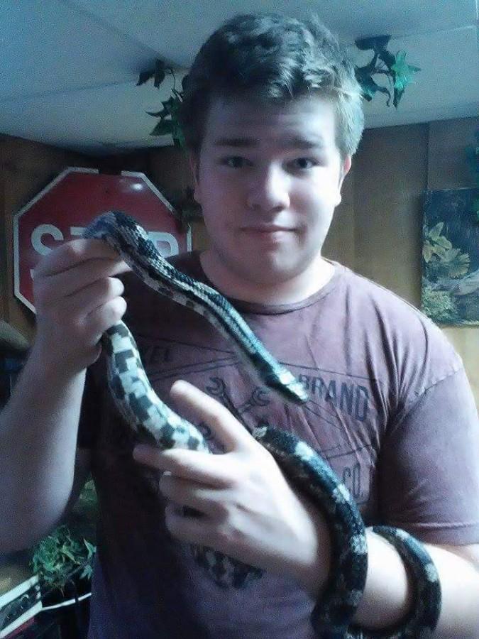 SAVING+SNAKES--+Noah+Roden+paused+the+care+of+his+reptiles+for+a+photo+op+with+Jasmine%2C+a+corn+snake+-+king+snake+hybrid.