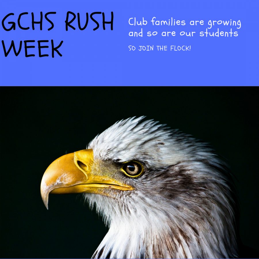 Rush Week Madness