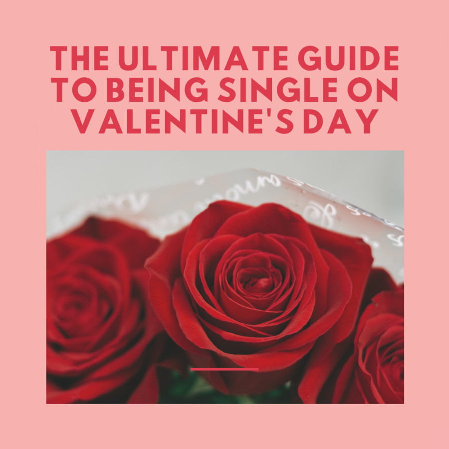 Ultimate+Guide+to+Being+Single+On+Valentines+Day