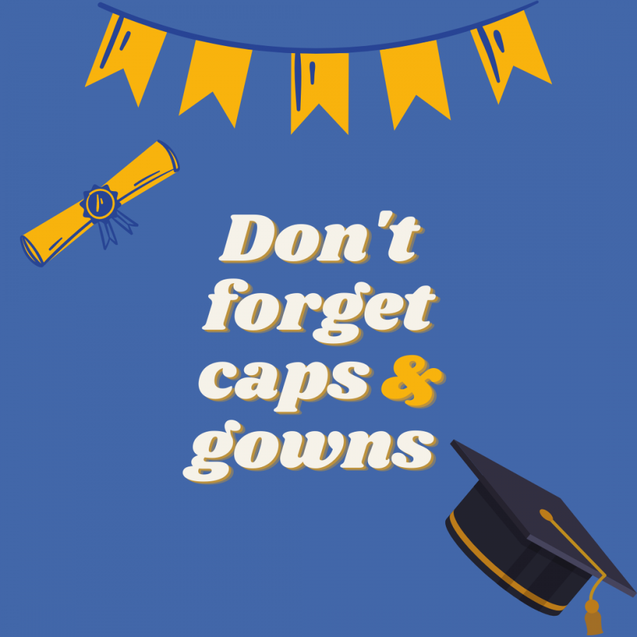 cap and gown infographic icons