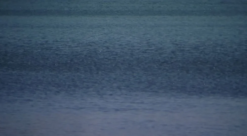 Quick-Thinking Nurses, a Good Samaritan and the Coast Guard Help a Shark-Bitten Swimmer Off Boca Grande Key in Florida Keys Safely Reach Care