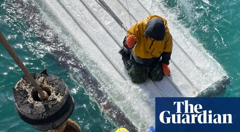 Rescuers pull a teenage boy from an overturned fishing boat in the Bering Sea