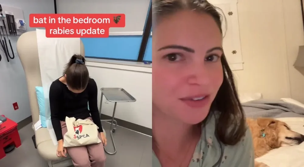 A TikTok nurse warns about dog licking after describing a rare liver parasite case