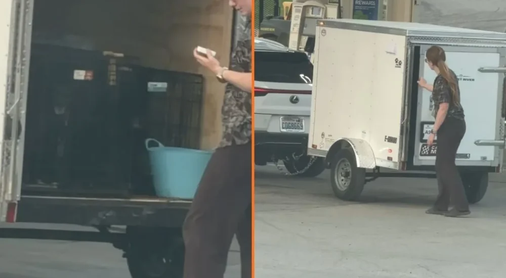 A New Jersey shop owner with two cats after an animal control visit at his repair store