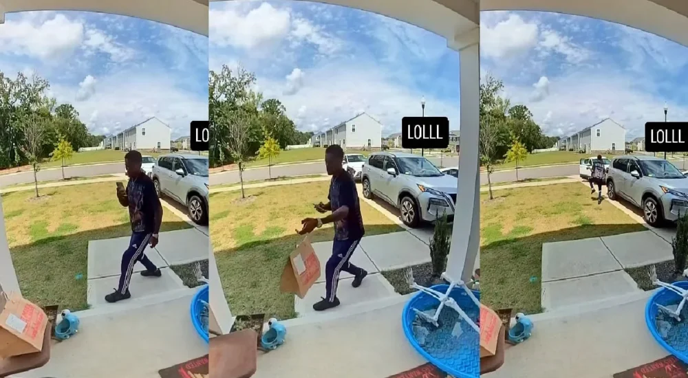 A duckling chases an Amazon driver away from a Los Angeles carport