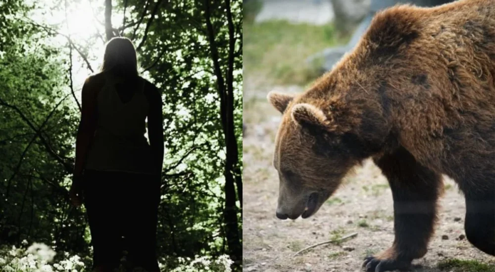 Hikers on a trail in Glacier National Park encounter a grizzly bear that appears to wave