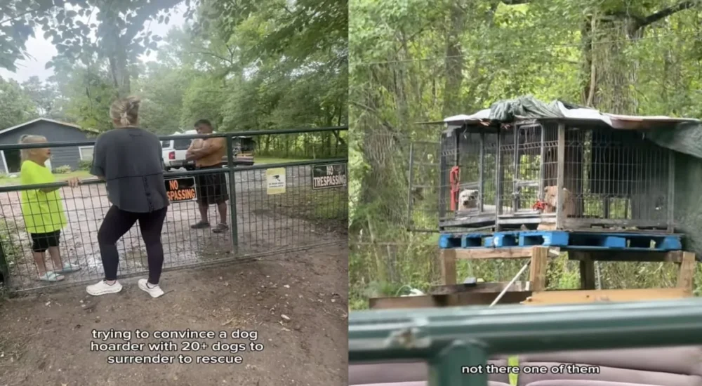 Two electricians discuss a job after arriving at a cluttered home entrance