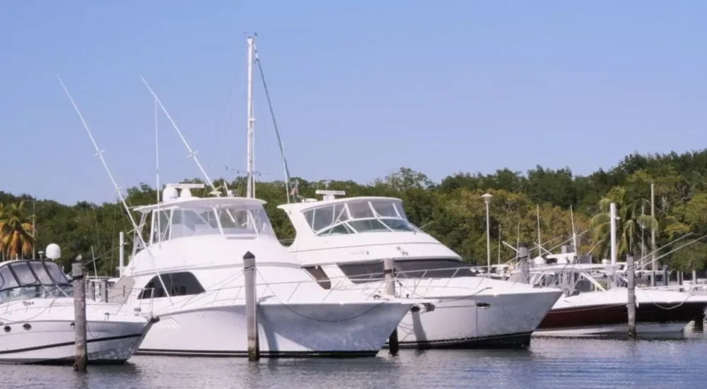 Oregon Sailor and His Cat Launch a Dream Voyage From Washington With an 8 to 9 Month Plan to Circle the World Nonstop